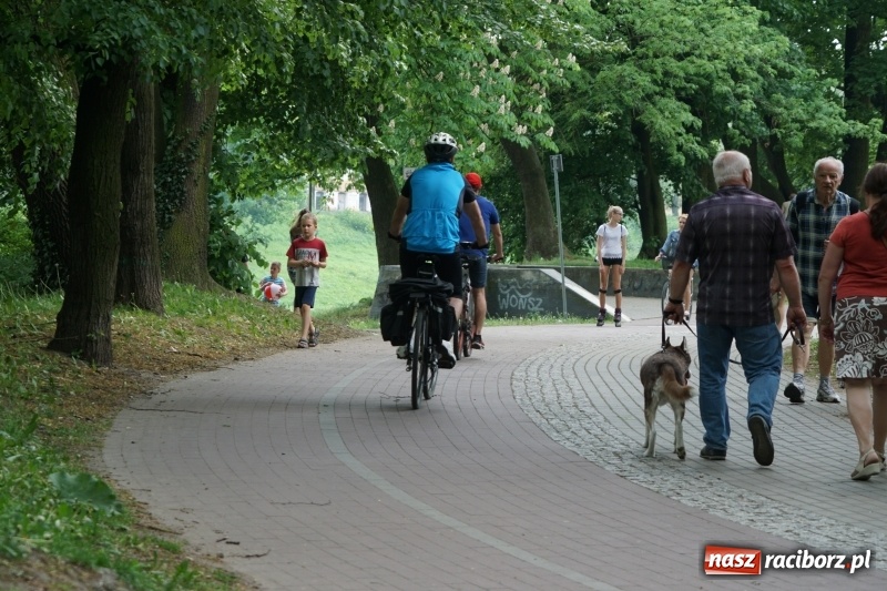 Zdjęcie w galerii na portalu naszraciborz.pl: Polska Majówka na raciborskich bulwarach  wiadomości z regionu