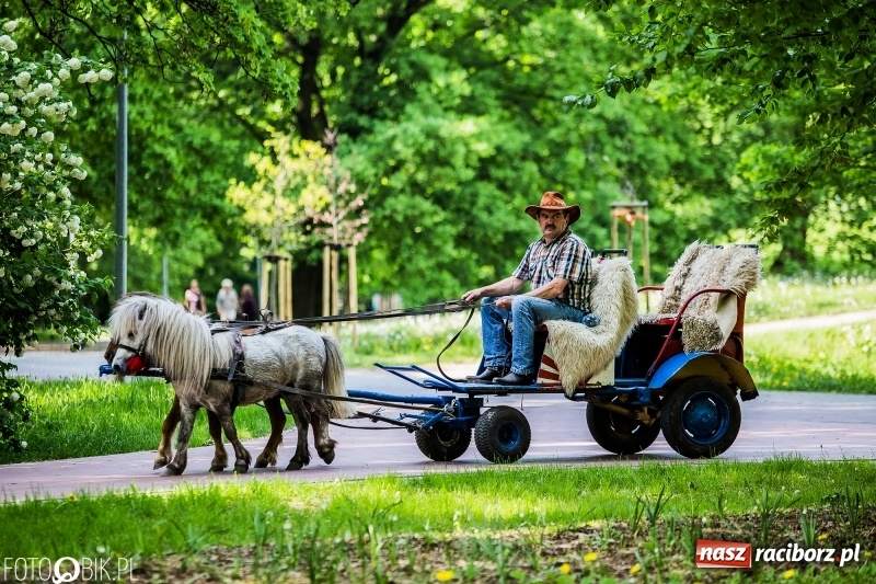 Zdjęcie w galerii na portalu naszraciborz.pl: Polska Majówka na raciborskich bulwarach  wiadomości z regionu
