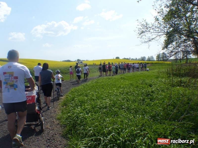 Zdjęcie w galerii na portalu naszraciborz.pl: W Krzanowicach przeszli 8 kilometrów z kijkami wiadomości z regionu