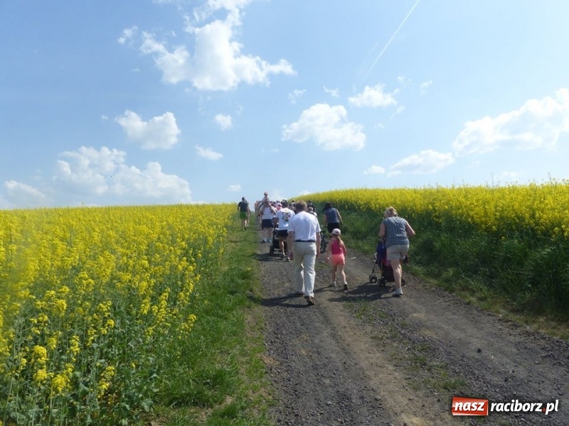 Zdjęcie w galerii na portalu naszraciborz.pl: W Krzanowicach przeszli 8 kilometrów z kijkami wiadomości z regionu