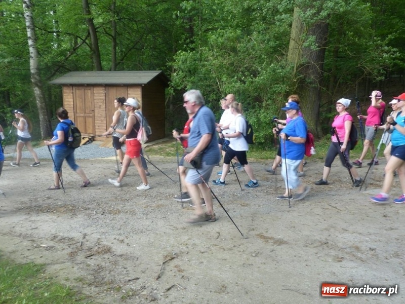 Zdjęcie w galerii na portalu naszraciborz.pl: W Krzanowicach przeszli 8 kilometrów z kijkami wiadomości z regionu