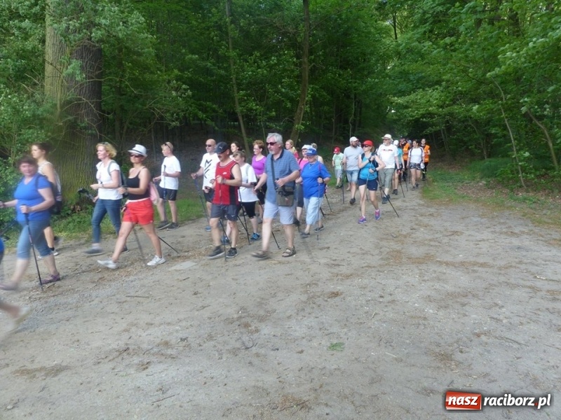 Zdjęcie w galerii na portalu naszraciborz.pl: W Krzanowicach przeszli 8 kilometrów z kijkami wiadomości z regionu