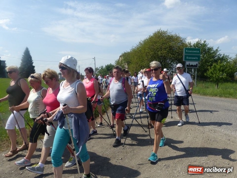 Zdjęcie w galerii na portalu naszraciborz.pl: W Krzanowicach przeszli 8 kilometrów z kijkami wiadomości z regionu