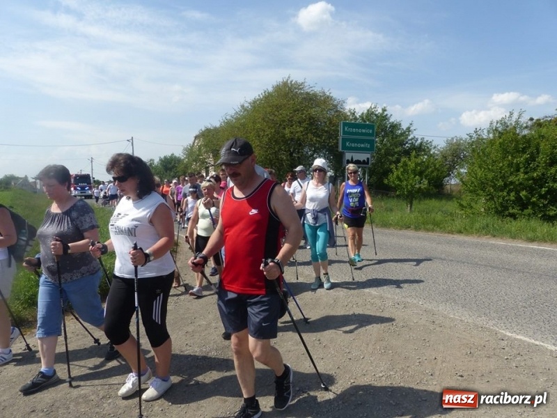 Zdjęcie w galerii na portalu naszraciborz.pl: W Krzanowicach przeszli 8 kilometrów z kijkami wiadomości z regionu