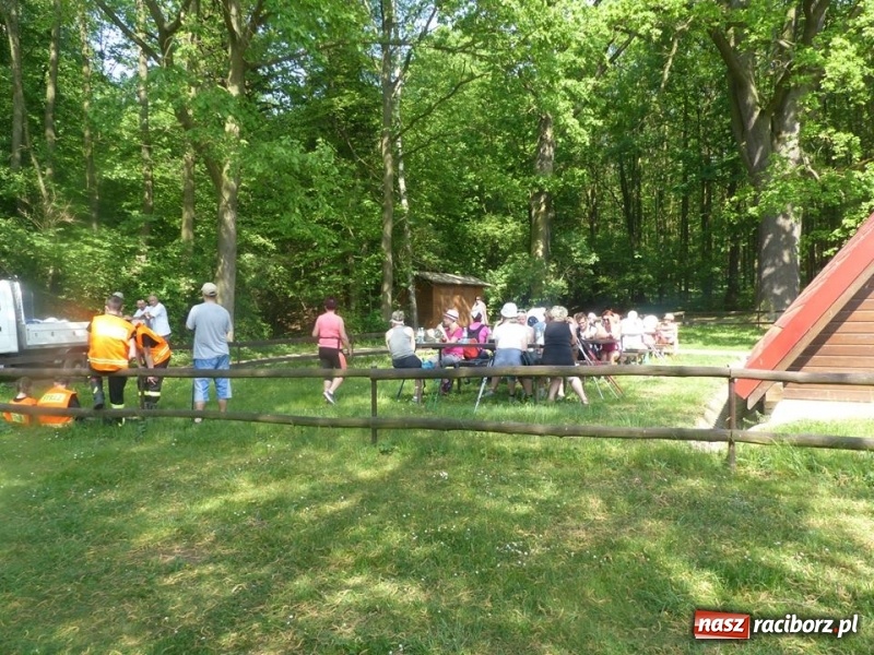 Zdjęcie w galerii na portalu naszraciborz.pl: W Krzanowicach przeszli 8 kilometrów z kijkami wiadomości z regionu
