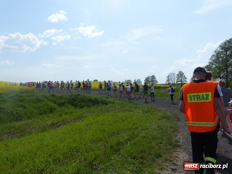 Zdjęcie w galerii na portalu naszraciborz.pl: W Krzanowicach przeszli 8 kilometrów z kijkami wiadomości z regionu