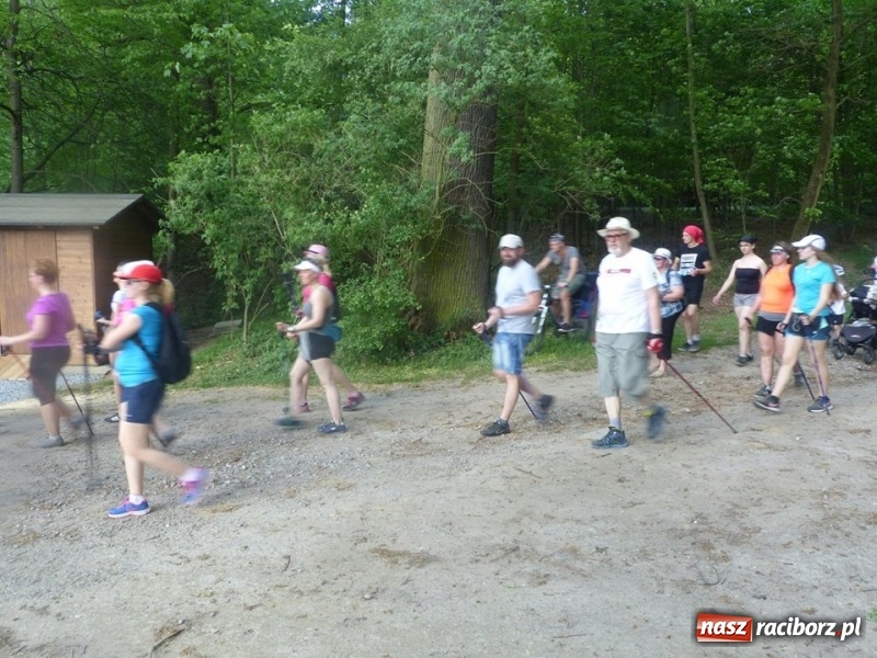 Zdjęcie w galerii na portalu naszraciborz.pl: W Krzanowicach przeszli 8 kilometrów z kijkami wiadomości z regionu