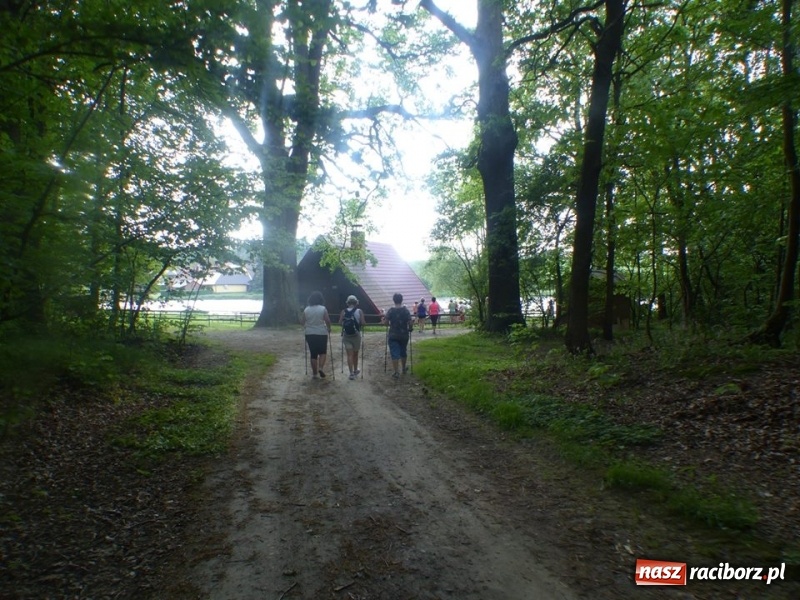 Zdjęcie w galerii na portalu naszraciborz.pl: W Krzanowicach przeszli 8 kilometrów z kijkami wiadomości z regionu