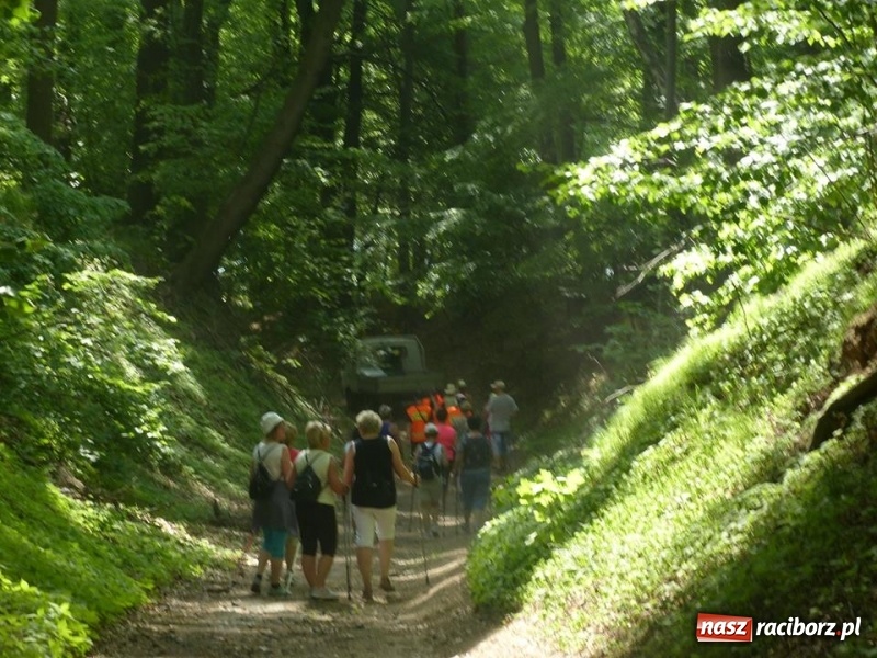 Zdjęcie w galerii na portalu naszraciborz.pl: W Krzanowicach przeszli 8 kilometrów z kijkami wiadomości z regionu