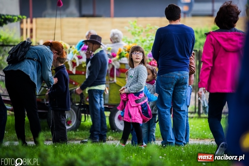 Zdjęcie w galerii na portalu naszraciborz.pl: W Pogrzebieniu szli w procesji na św. Floriana. Prosili o ochronę przed gradem wiadomości z regionu