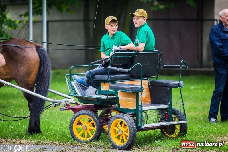 Zdjęcie w galerii na portalu naszraciborz.pl: W Pogrzebieniu szli w procesji na św. Floriana. Prosili o ochronę przed gradem wiadomości z regionu