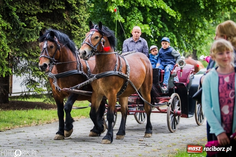 Zdjęcie w galerii na portalu naszraciborz.pl: W Pogrzebieniu szli w procesji na św. Floriana. Prosili o ochronę przed gradem wiadomości z regionu
