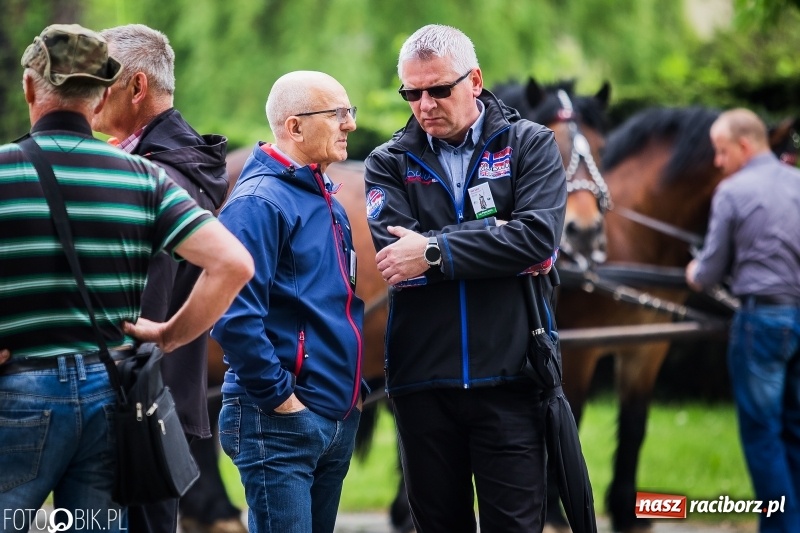 Zdjęcie w galerii na portalu naszraciborz.pl: W Pogrzebieniu szli w procesji na św. Floriana. Prosili o ochronę przed gradem wiadomości z regionu