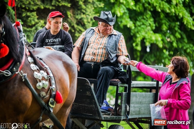 Zdjęcie w galerii na portalu naszraciborz.pl: W Pogrzebieniu szli w procesji na św. Floriana. Prosili o ochronę przed gradem wiadomości z regionu