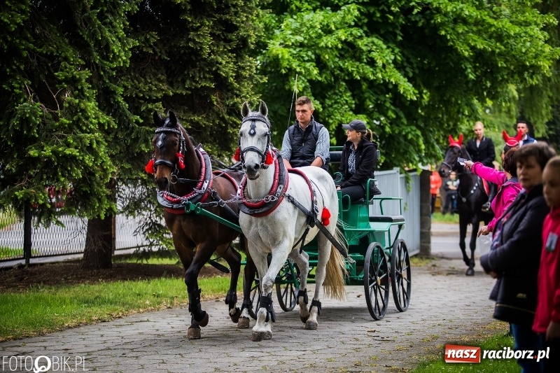 Zdjęcie w galerii na portalu naszraciborz.pl: W Pogrzebieniu szli w procesji na św. Floriana. Prosili o ochronę przed gradem wiadomości z regionu