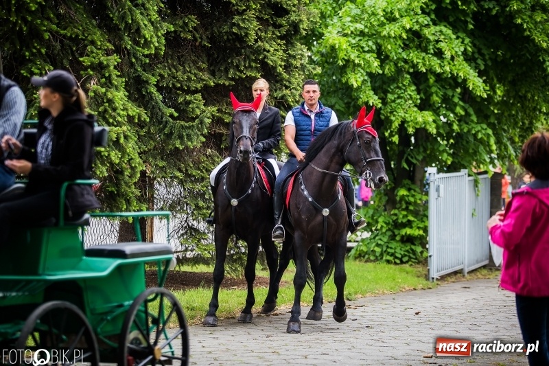 Zdjęcie w galerii na portalu naszraciborz.pl: W Pogrzebieniu szli w procesji na św. Floriana. Prosili o ochronę przed gradem wiadomości z regionu