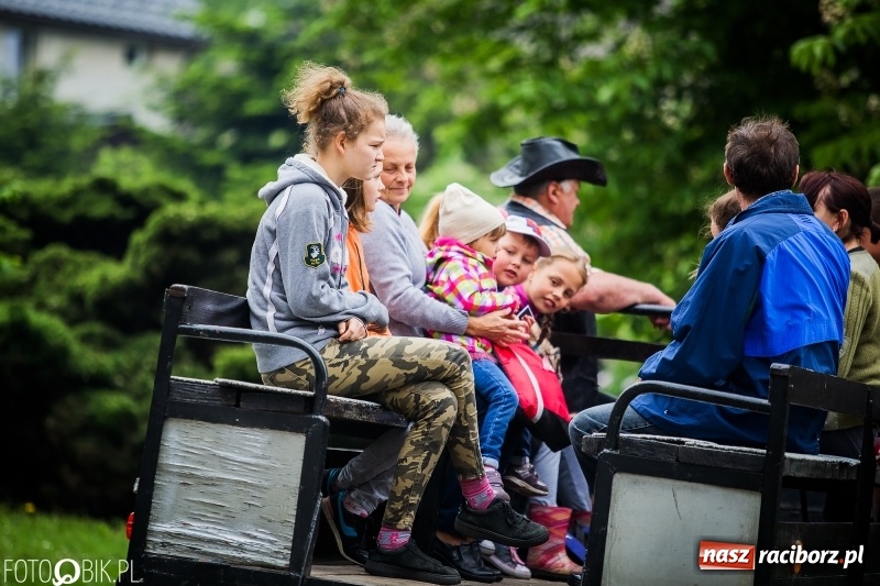 Zdjęcie w galerii na portalu naszraciborz.pl: W Pogrzebieniu szli w procesji na św. Floriana. Prosili o ochronę przed gradem wiadomości z regionu