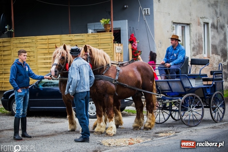 Zdjęcie w galerii na portalu naszraciborz.pl: W Pogrzebieniu szli w procesji na św. Floriana. Prosili o ochronę przed gradem wiadomości z regionu