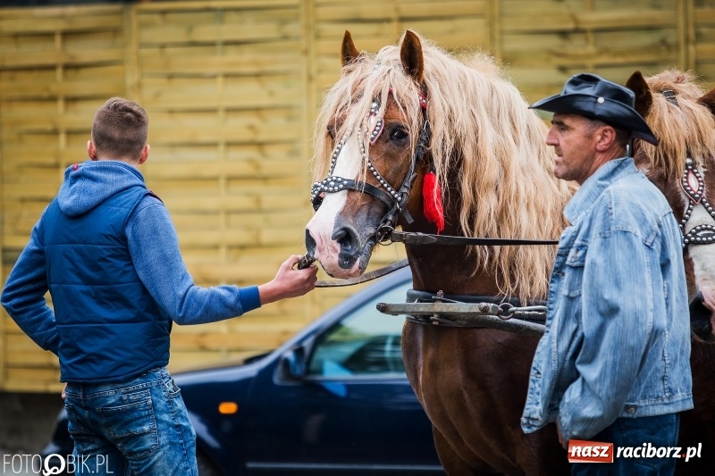 Zdjęcie w galerii na portalu naszraciborz.pl: W Pogrzebieniu szli w procesji na św. Floriana. Prosili o ochronę przed gradem wiadomości z regionu