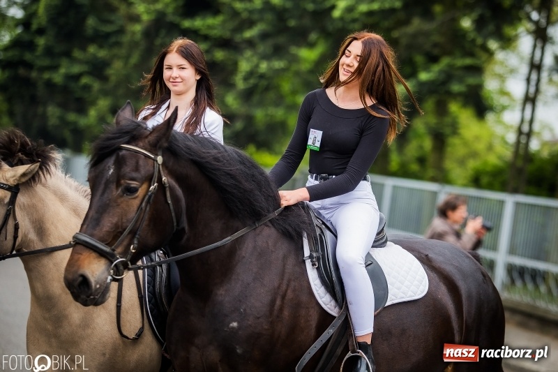 Zdjęcie w galerii na portalu naszraciborz.pl: W Pogrzebieniu szli w procesji na św. Floriana. Prosili o ochronę przed gradem wiadomości z regionu