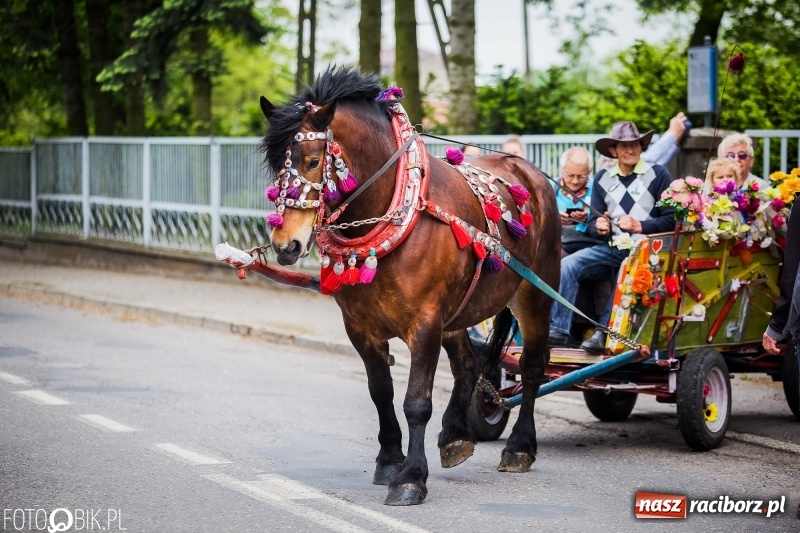 Zdjęcie w galerii na portalu naszraciborz.pl: W Pogrzebieniu szli w procesji na św. Floriana. Prosili o ochronę przed gradem wiadomości z regionu