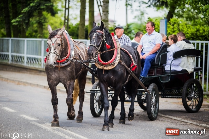 Zdjęcie w galerii na portalu naszraciborz.pl: W Pogrzebieniu szli w procesji na św. Floriana. Prosili o ochronę przed gradem wiadomości z regionu