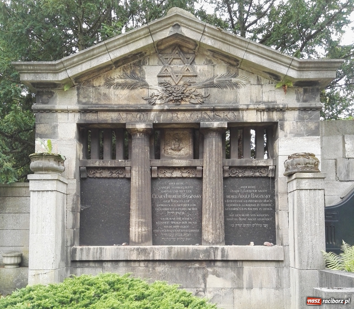 Zdjęcie w galerii na portalu naszraciborz.pl: Szalejące ceny śledzi i cygar. Palacze rzucają nałóg, fabryki bankrutują wiadomości z regionu