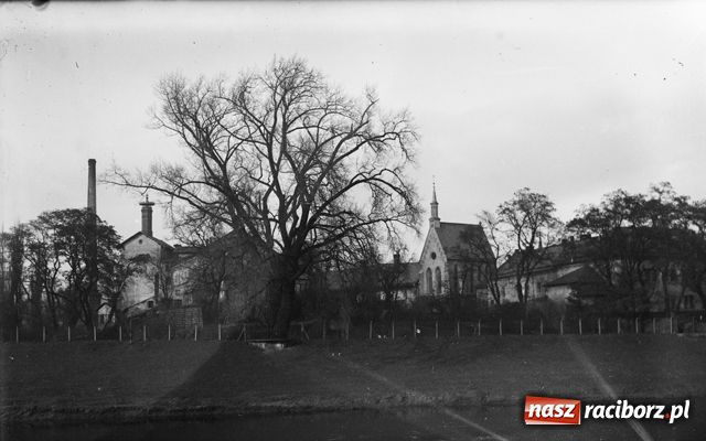 Zdjęcie w galerii na portalu naszraciborz.pl: Tego jeszcze nie widziałeś wiadomości z regionu