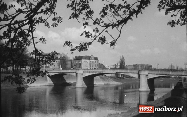 Zdjęcie w galerii na portalu naszraciborz.pl: Tego jeszcze nie widziałeś wiadomości z regionu