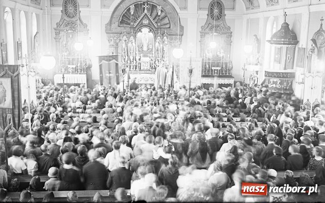 Zdjęcie w galerii na portalu naszraciborz.pl: Tego jeszcze nie widziałeś wiadomości z regionu