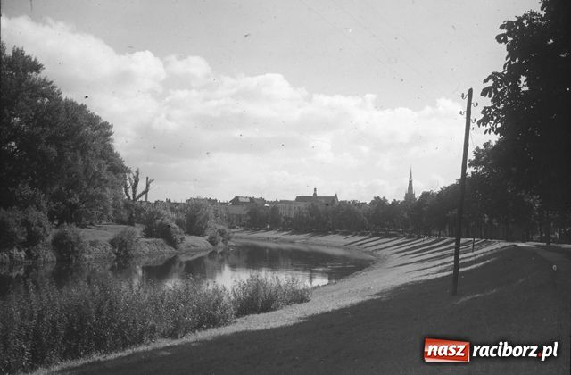 Zdjęcie w galerii na portalu naszraciborz.pl: Tego jeszcze nie widziałeś wiadomości z regionu