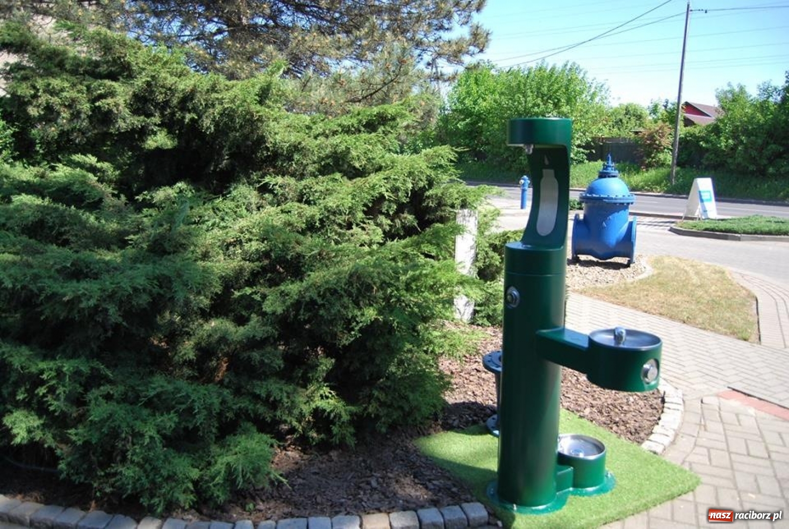 Zdjęcie w galerii na portalu naszraciborz.pl: Lato coraz bliżej. ZWiK przygotował specjalny dystrybutor wiadomości z regionu