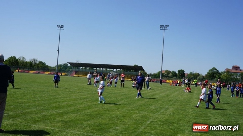 Zdjęcie w galerii na portalu naszraciborz.pl: Młodzi zawodnicy LKS Tworków na VI Memoriale im. Przemysława Grabowskiego w Grodkowie wiadomości z regionu
