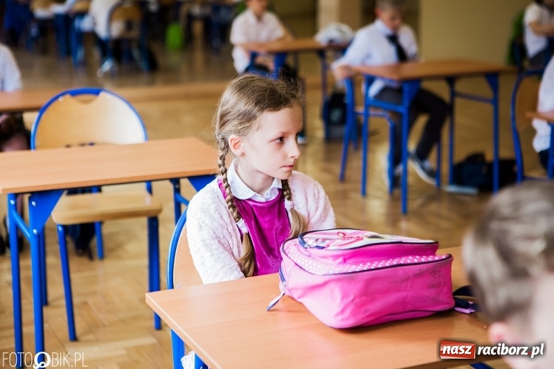 Zdjęcie w galerii na portalu naszraciborz.pl: W Szkole Podstawowej nr 18 wyłoniono Mistrza Rozrywek Umysłowych wiadomości z regionu