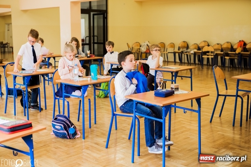 Zdjęcie w galerii na portalu naszraciborz.pl: W Szkole Podstawowej nr 18 wyłoniono Mistrza Rozrywek Umysłowych wiadomości z regionu