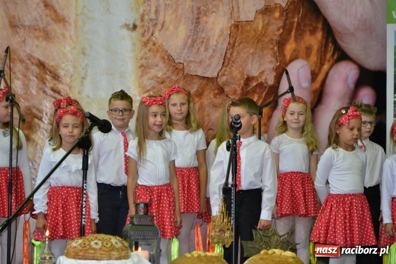 Zdjęcie w galerii na portalu naszraciborz.pl: Festiwal Pozytywnych Wartości w Bieńkowicach  wiadomości z regionu