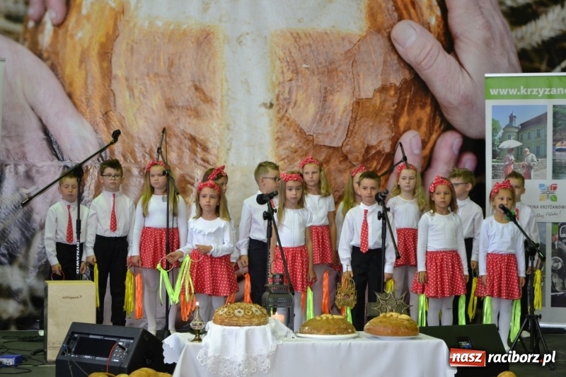 Zdjęcie w galerii na portalu naszraciborz.pl: Festiwal Pozytywnych Wartości w Bieńkowicach  wiadomości z regionu