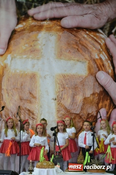 Zdjęcie w galerii na portalu naszraciborz.pl: Festiwal Pozytywnych Wartości w Bieńkowicach  wiadomości z regionu