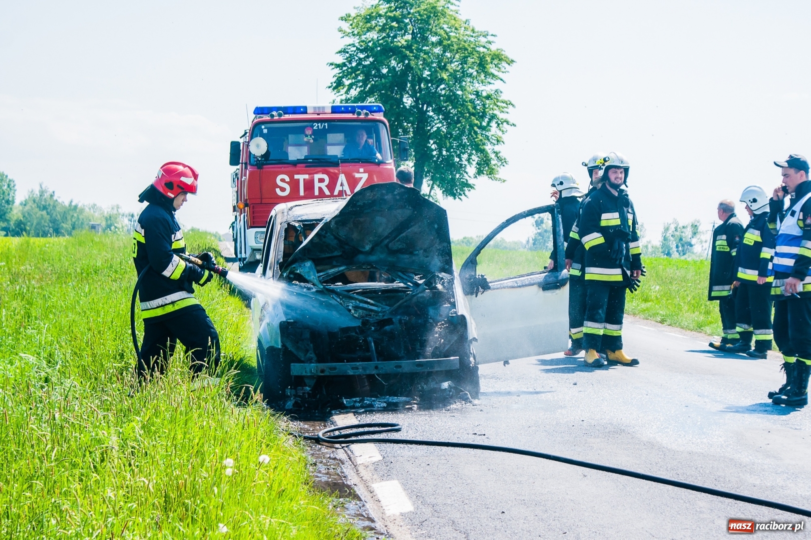 Zdjęcie w galerii na portalu naszraciborz.pl: Fiat panda spłonął na drodze Wojnowice-Lekartów wiadomości z regionu