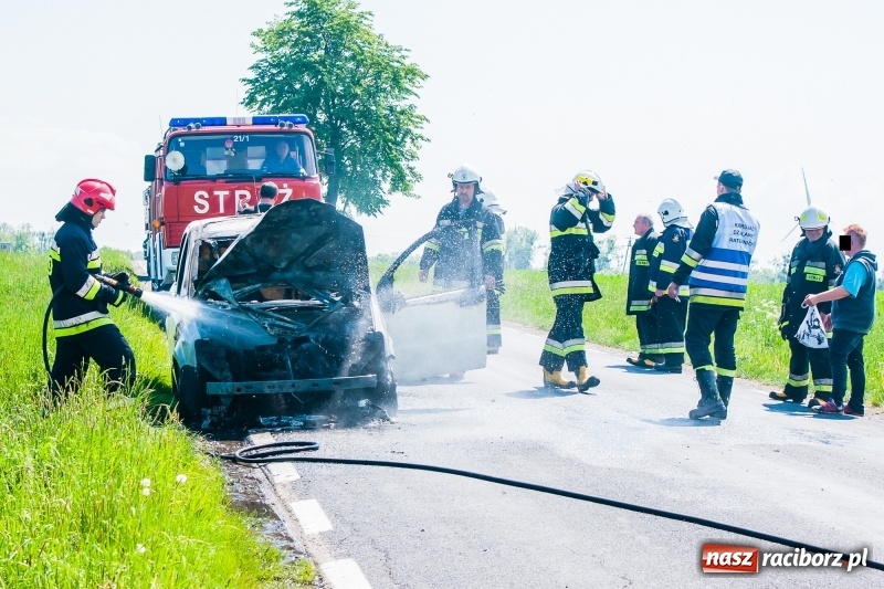 Zdjęcie w galerii na portalu naszraciborz.pl: Fiat panda spłonął na drodze Wojnowice-Lekartów wiadomości z regionu