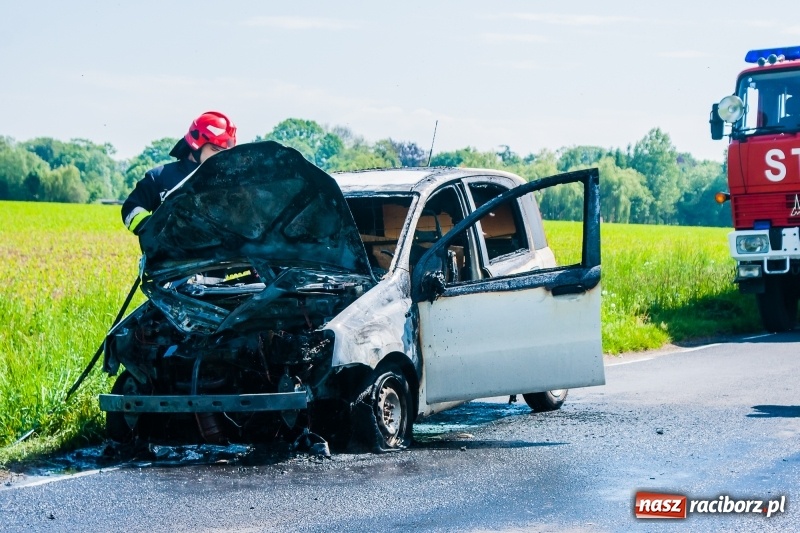 Zdjęcie w galerii na portalu naszraciborz.pl: Fiat panda spłonął na drodze Wojnowice-Lekartów wiadomości z regionu