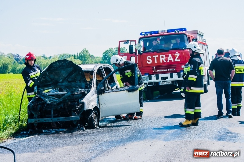 Zdjęcie w galerii na portalu naszraciborz.pl: Fiat panda spłonął na drodze Wojnowice-Lekartów wiadomości z regionu