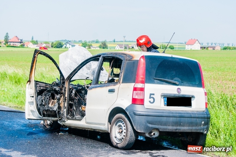 Zdjęcie w galerii na portalu naszraciborz.pl: Fiat panda spłonął na drodze Wojnowice-Lekartów wiadomości z regionu