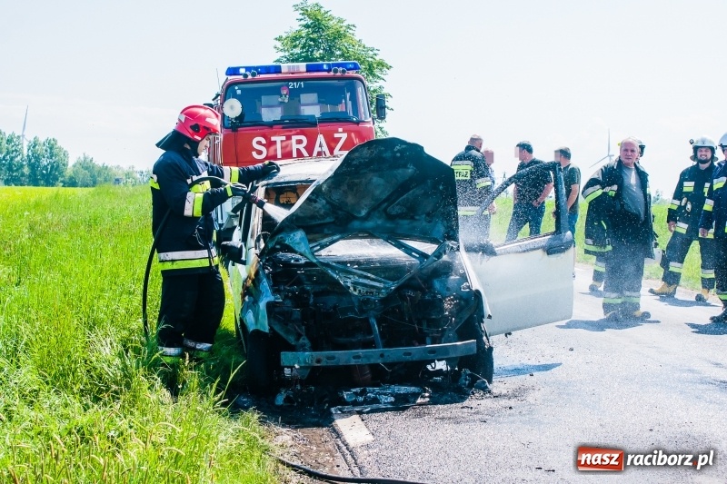 Zdjęcie w galerii na portalu naszraciborz.pl: Fiat panda spłonął na drodze Wojnowice-Lekartów wiadomości z regionu