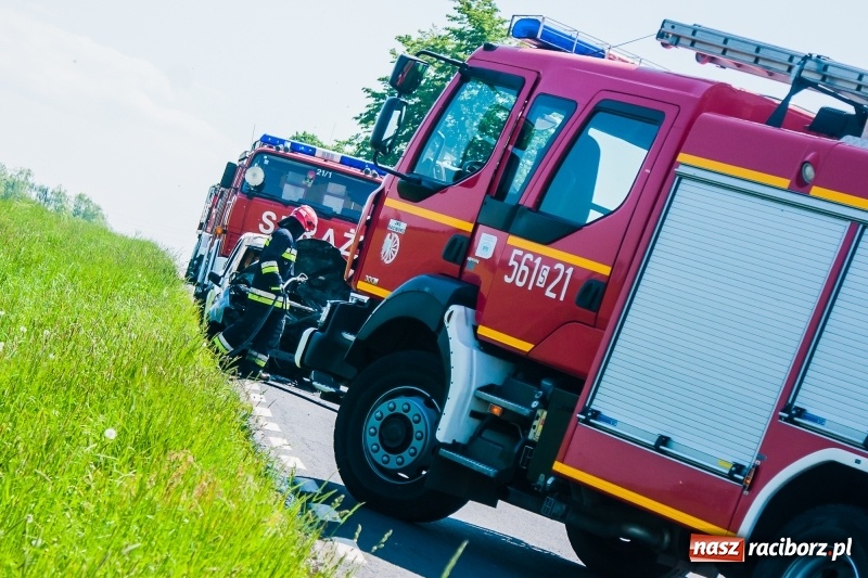 Zdjęcie w galerii na portalu naszraciborz.pl: Fiat panda spłonął na drodze Wojnowice-Lekartów wiadomości z regionu