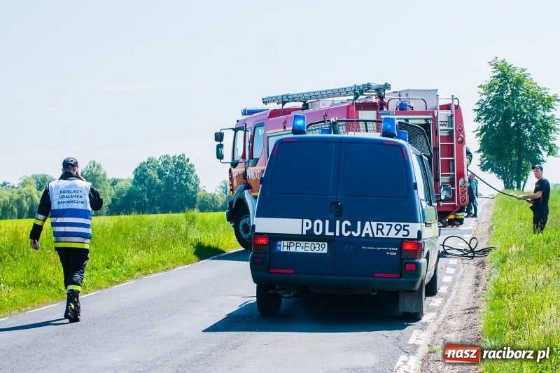 Zdjęcie w galerii na portalu naszraciborz.pl: Fiat panda spłonął na drodze Wojnowice-Lekartów wiadomości z regionu