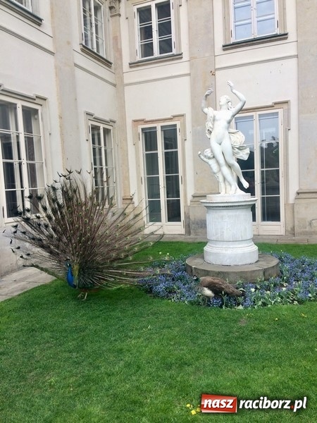 Zdjęcie w galerii na portalu naszraciborz.pl: Na tropach Warszawskiej Syrenki. Edukacja i zabawa w stolicy wiadomości z regionu