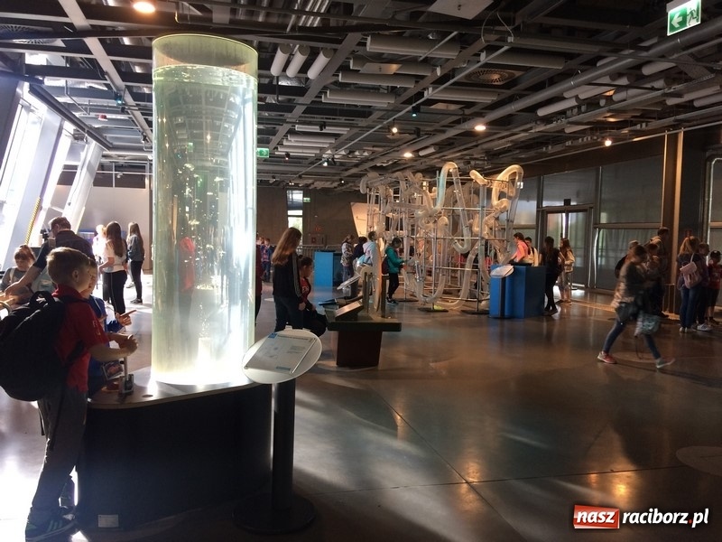 Zdjęcie w galerii na portalu naszraciborz.pl: Na tropach Warszawskiej Syrenki. Edukacja i zabawa w stolicy wiadomości z regionu