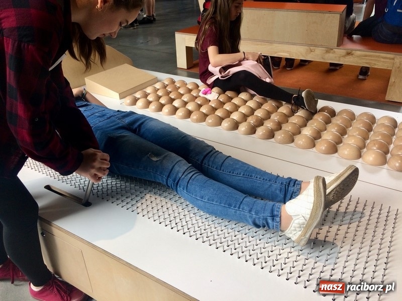 Zdjęcie w galerii na portalu naszraciborz.pl: Na tropach Warszawskiej Syrenki. Edukacja i zabawa w stolicy wiadomości z regionu