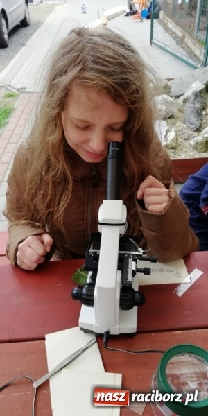 Zdjęcie w galerii na portalu naszraciborz.pl: Wspólna nauka drogą do sukcesu. Uczniowie szkoły na Ostrogu realizowali projekt międzynarodowy wiadomości z regionu